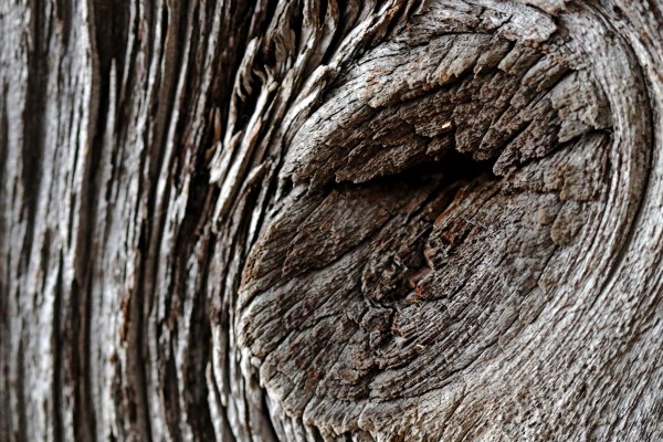 Barn Board by Deb Oppermann